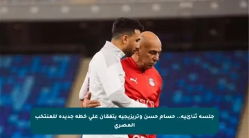 جلسة ثنائية.. حسام حسن وتريزيجيه يتفقان على خطة جديدة للمنتخب المصري